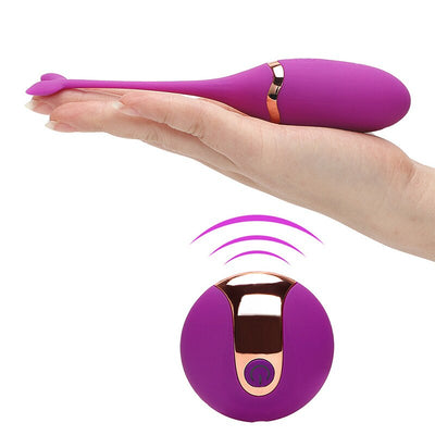 USB Recharge Wireless Remote Control Vibrating Egg Vibrator Vibrating Stick Women Massager DC116