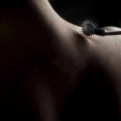 Candiway Hot Stainless Steel Wheel Gear Roller Stimulator Gear BDSM Slave Roleplay Adult Products Erotic Toy For Couple