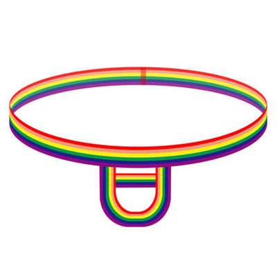 Hot Ball Cock Lifter Men Thong Penis Erect Lingerie Enhancer C ring Strap G strings colorful rainbow Underwear