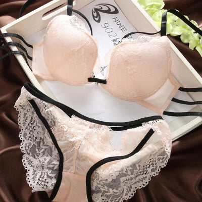 Sexy Push Up Padded Underwear Briefs Lace Bra Set Bra and Panty Set Back Closure Seamless  Women Underwire Lingerie Set